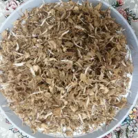 ثعلب|عمدهفروشی|سقز, |دیوار