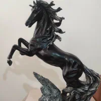 اسب|اسب و تجهیزات اسبسواری|مراغه, |دیوار