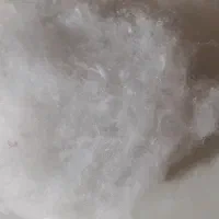 الیاف توپی و ساده