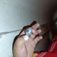 انگشتر شجر تک درخت کمیاب