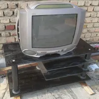 تلوزیون