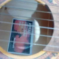 گیتار|گیتار، بیس، امپلیفایر|فردیس, فردیس|دیوار