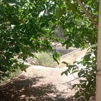 باغ نهضت آباد خوش جا|فروش دفتر صنعتی، کشاورزی، تجاری|نجف‌آباد, حومه نجف آباد|دیوار