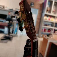 گیتار EDMUNDO|گیتار، بیس، امپلیفایر|قزوین, |دیوار