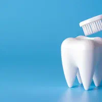 گوتا و پیپر برند گاپادنت