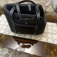 کیف سگ