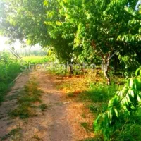 باغ ۶۰۸متری در منجیل آباد خیابان سعدی