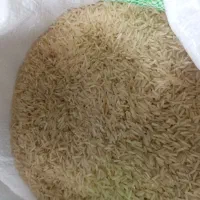 برنج ایرانی طارم هاشمی