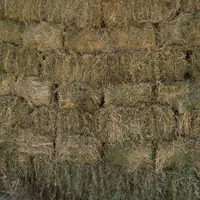 علف تازه بدون یونجه