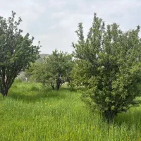 خانه-باغ-شیشدار-تنگ-حمام