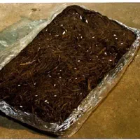 کود کمپوست قارچ استفاده شده