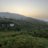 800-متر-زمین-پروانه-دار-نشتارود