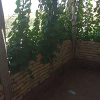 کشاورزی|خدمات باغبانی و درختکاری|تویسرکان, |دیوار