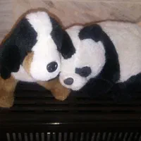 عروسک پولیشی