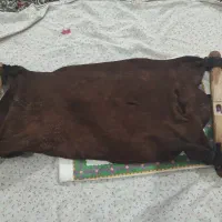 مشک دوغ خوش عطرو بو