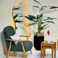 استخدام فروشنده