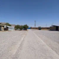نیروی خانم مسلط به کامپیوتر