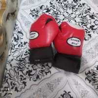 دستکش بوکس|تجهیزات ورزشی|مشهد, حجاب (شهرک غرب)|دیوار