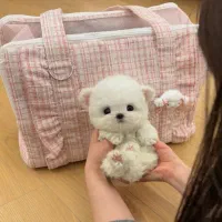 سگ فانتزی  عروسکی