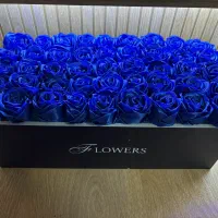 گل های جاودان|گل مصنوعی|شهریار, شهریار|دیوار