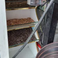 عطاری تمشک|خوردنی و آشامیدنی|کرمان, |دیوار