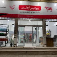 استخدام نیرو در پروتئینی آزادگان