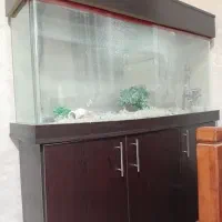 آکواریوم کمدی با سه درب