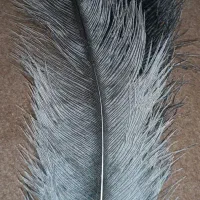 پر برای محرم وتزیینی