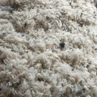 پشم گوسفند .شسته شده