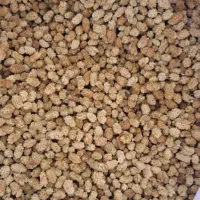 فروش توت خشک|خوردنی و آشامیدنی|قم, قلعه کامکار|دیوار