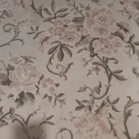 فرش کناره یک در ۲