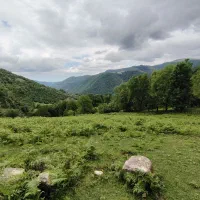 زمین ییلاق ارده