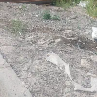 ۱۵۰ متر زمین سند دار/ فروش فوری/ مجوز ۴ سقف|فروش زمین و ملک کلنگی|مشهد, رباط طرق|دیوار