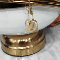 پلاک و گوشواره