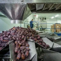 استخدام خانم  استخدام  خانم استخدام خانم