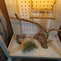 خونه پرنده|لوازم جانبی حیوانات|ارومیه, |دیوار