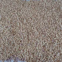 فروش انواع انجیر|خوردنی و آشامیدنی|استهبان, |دیوار