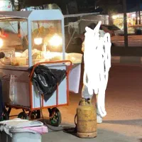 گاری فست فود آماده کار