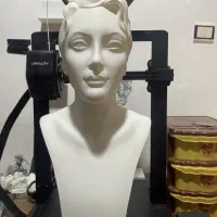 ساخت مجسمه شخصی|مجسمه، تندیس، ماکت|تاکستان, |دیوار