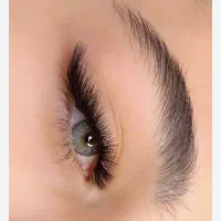 اجاره لاین اکستنشن مژه و ابرو