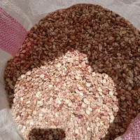 لوبیاچیتی لپه|خوردنی و آشامیدنی|شیراز, ده پیاله|دیوار