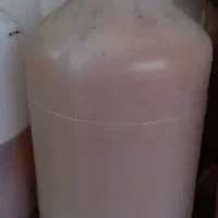 عسل