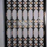 آکاردئونی ساز ماهر ونیمه ماهر