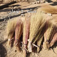 جارو باغی دستی