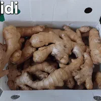 پخش عمده زنجبیل و زردچوبه