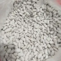 حبوبات|عمده‌فروشی|گرمسار, |دیوار