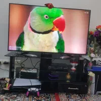 تلوزیون LED 4K شارپ 50اینچ|تلویزیون و پروژکتور|بروجرد, |دیوار