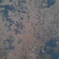 پرده پذیرایی|پرده، رانر، رومیزی|قرچک, شهرک الحدید|دیوار