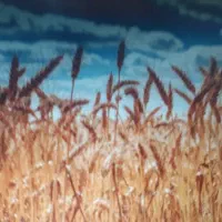 مشاوره کشاورزی