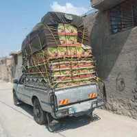 فروش|خودرو سواری و وانت|شیراز, حسن آباد|دیوار